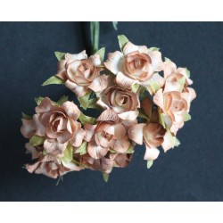 RAMILLETE 12 FLORES MARRON...