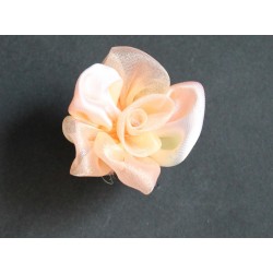 FLOR SALMON C- 4  44450-00-4
