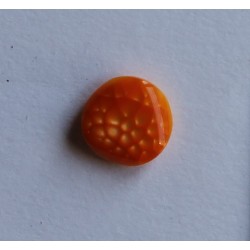 BOTON FANTASIA ( 1.3 CM )...