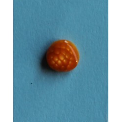 BOTON FANTASIA ( 1.0 CM )...