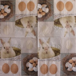 SERVILLETA 33 X 33 200228