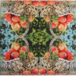 SERVILLETA 33 X 33 200550
